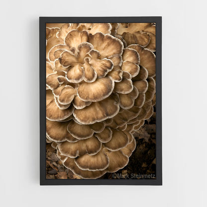 ap-hen of the woods-1 cadre Noir