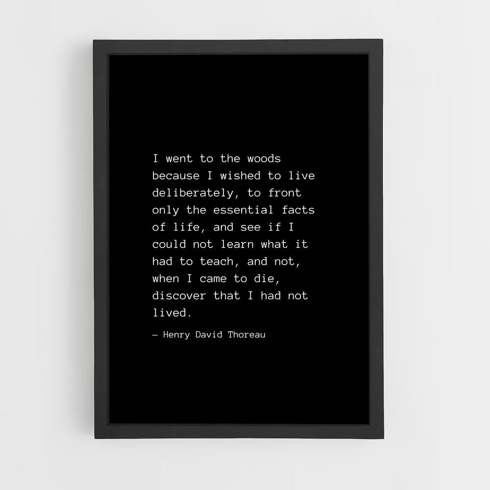ap-henry david thoreau-1 cadre Noir