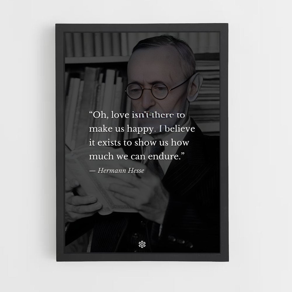 ap-hermann hesse-3 cadre Noir