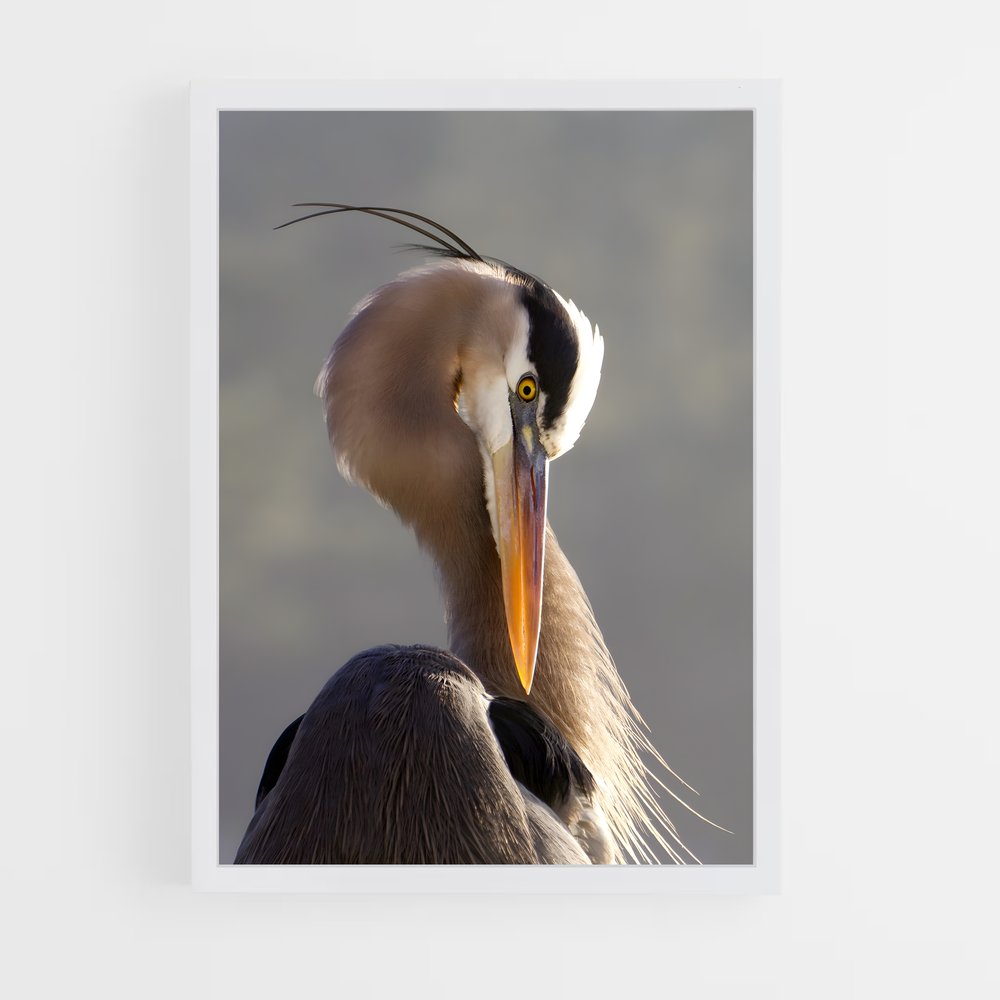 ap-heron-5 cadre Blanc