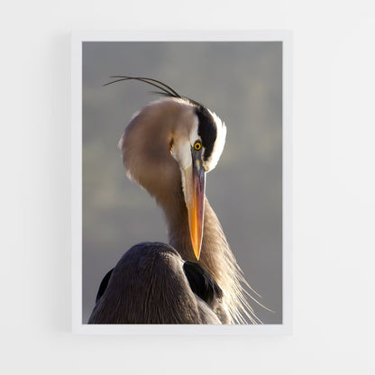 ap-heron-5 cadre Blanc