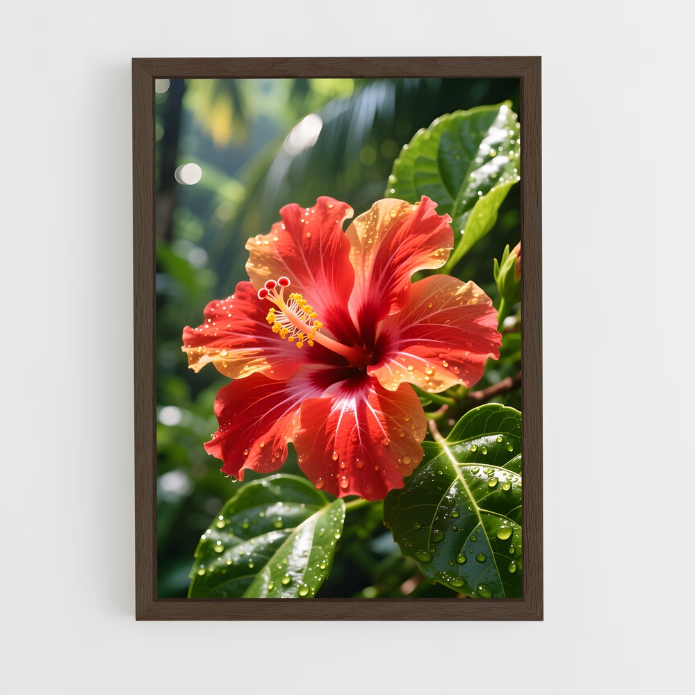 ap-hibiscus-12 cadre Bois foncé