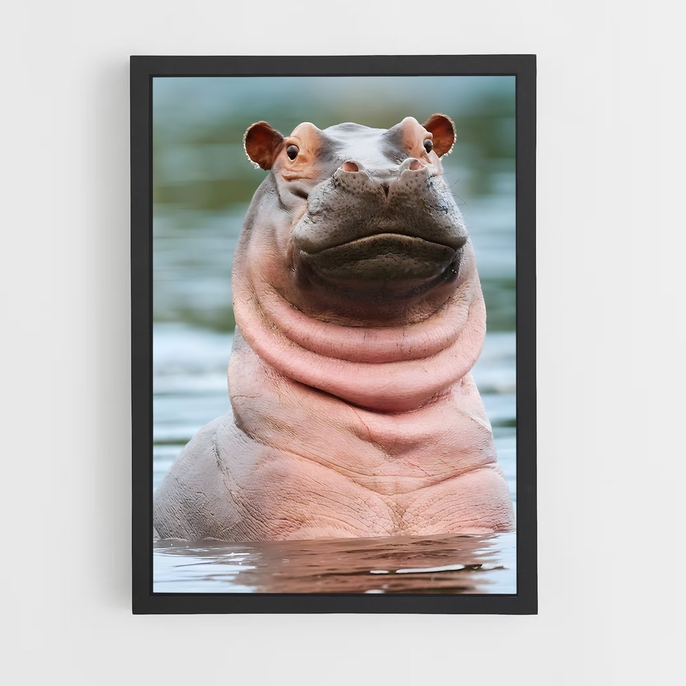 ap-hippo-1 cadre Noir