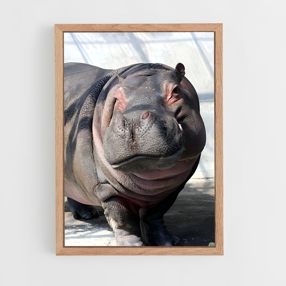 ap-hippo-3 cadre Bois clair