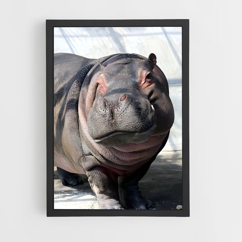 ap-hippo-3 cadre Noir