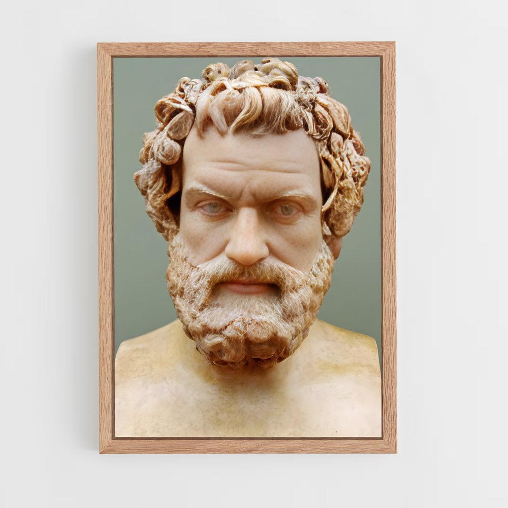 ap-hippocrates-1 cadre Bois clair