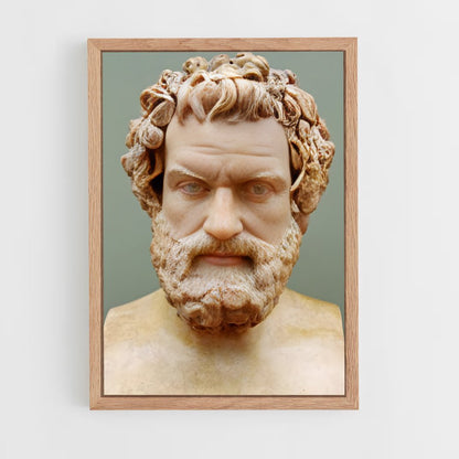 ap-hippocrates-1 cadre Bois clair