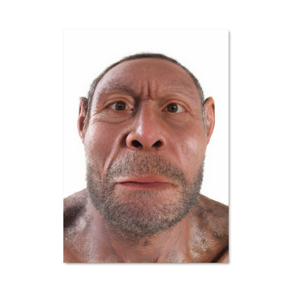 Poster Le Sage Visage