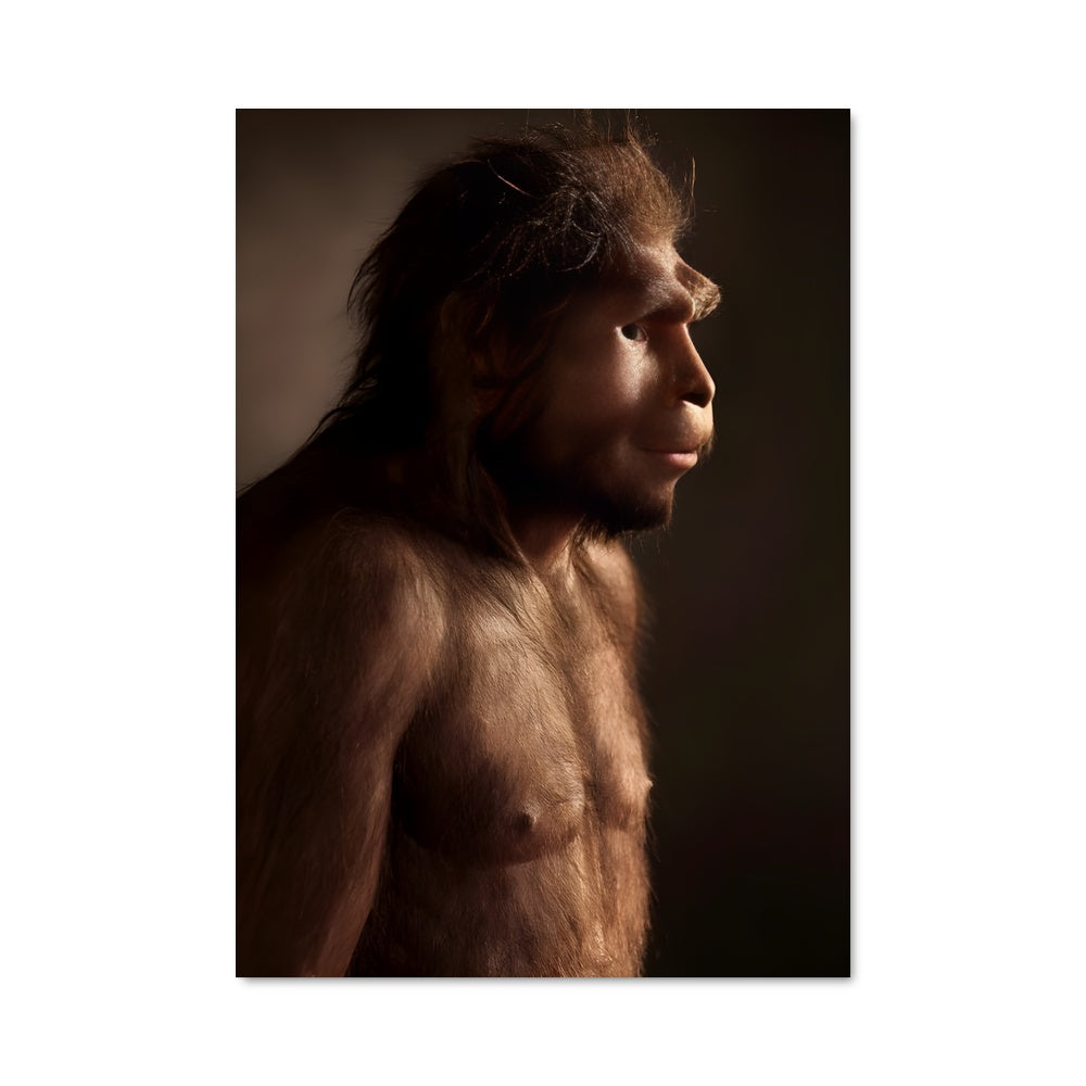 Poster Barbe d'Historien
