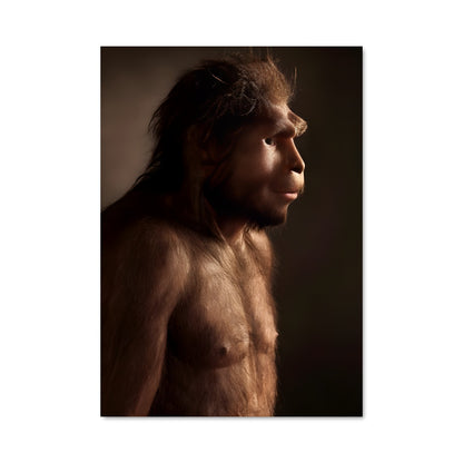 Poster Barbe d'Historien