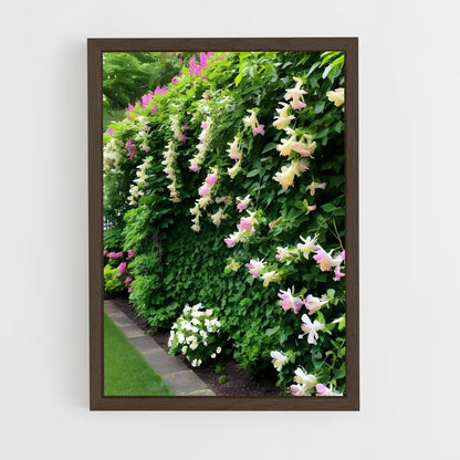 ap-honeysuckle-1 cadre Bois foncé
