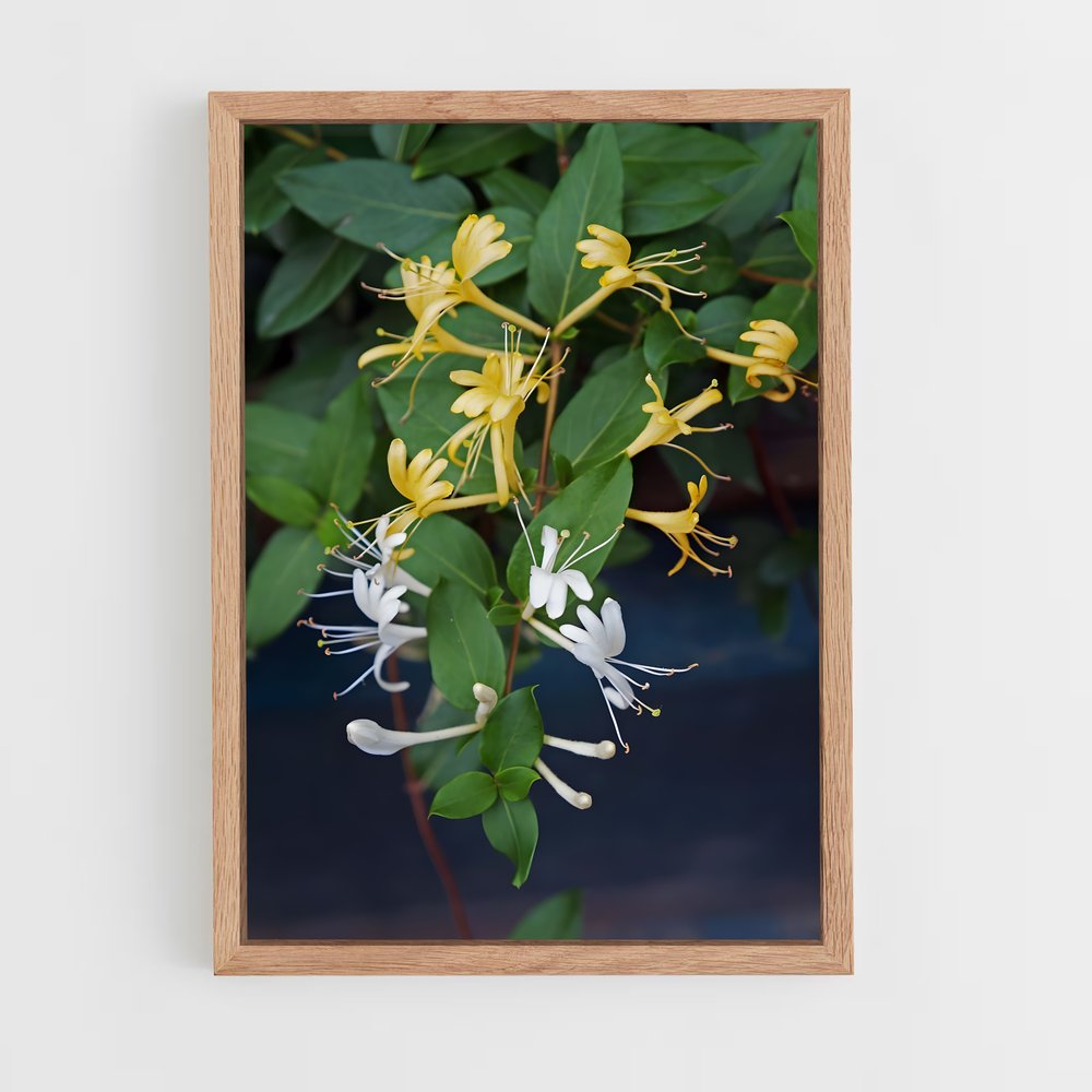 ap-honeysuckle-2 cadre Bois clair