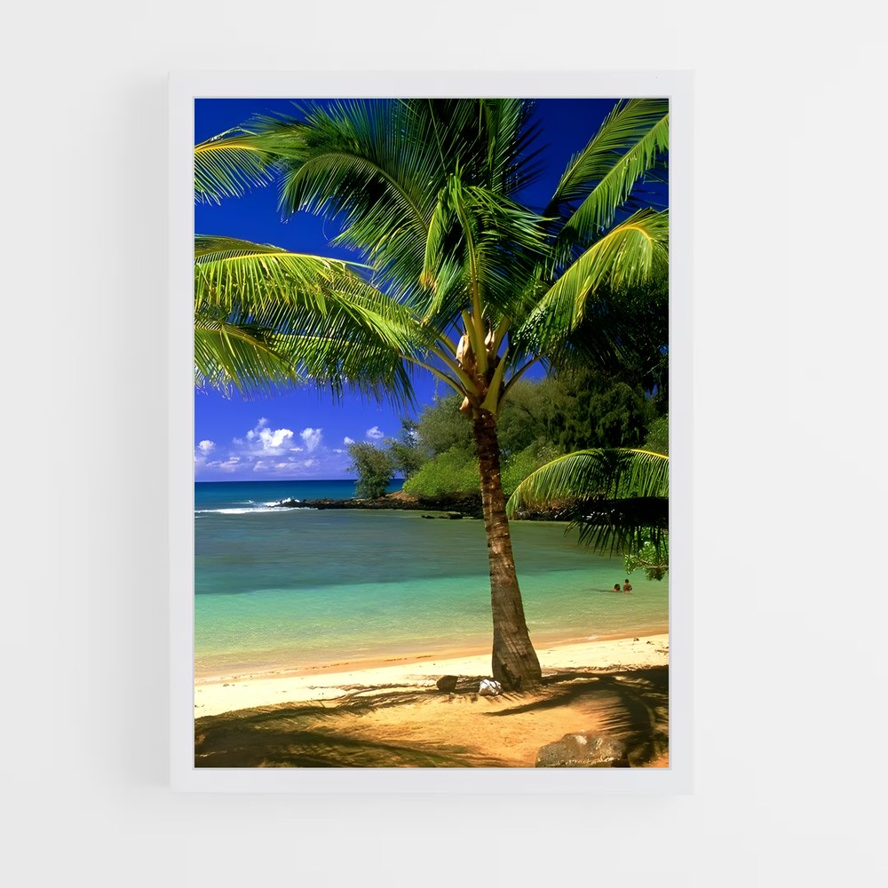 ap-honiara-2 cadre Blanc