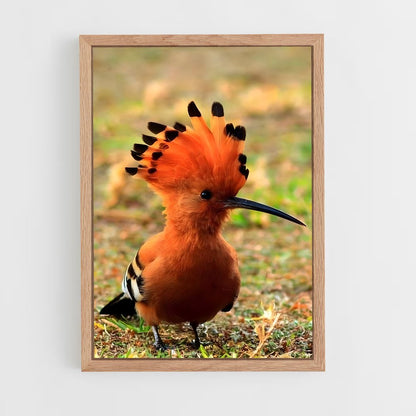 ap-hoopoe-10 cadre Bois clair