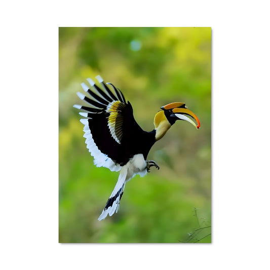 Poster Le Vol du Hornbill