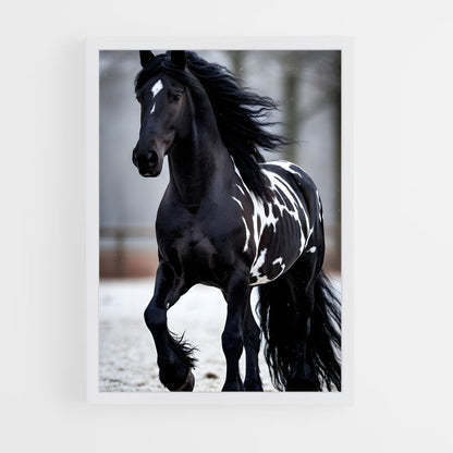 ap-horse-16 cadre Blanc