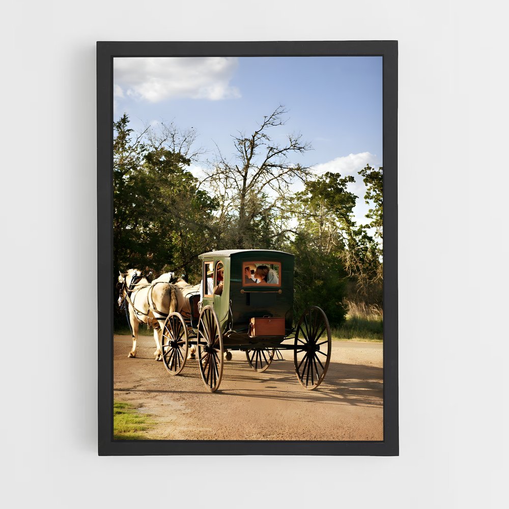 ap-horse carriage-2 cadre Noir