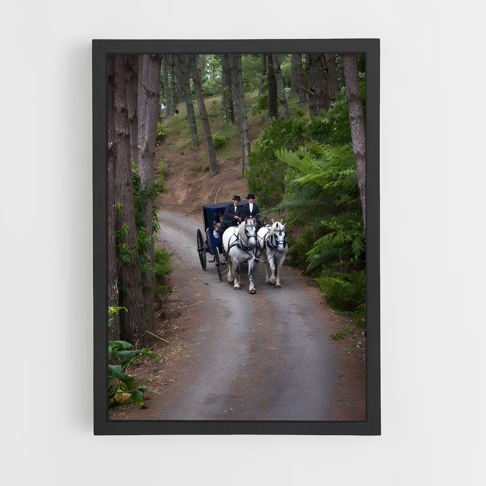 ap-horse carriage-4 cadre Noir