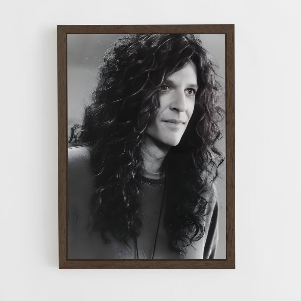 ap-howard stern-1 cadre Bois foncé