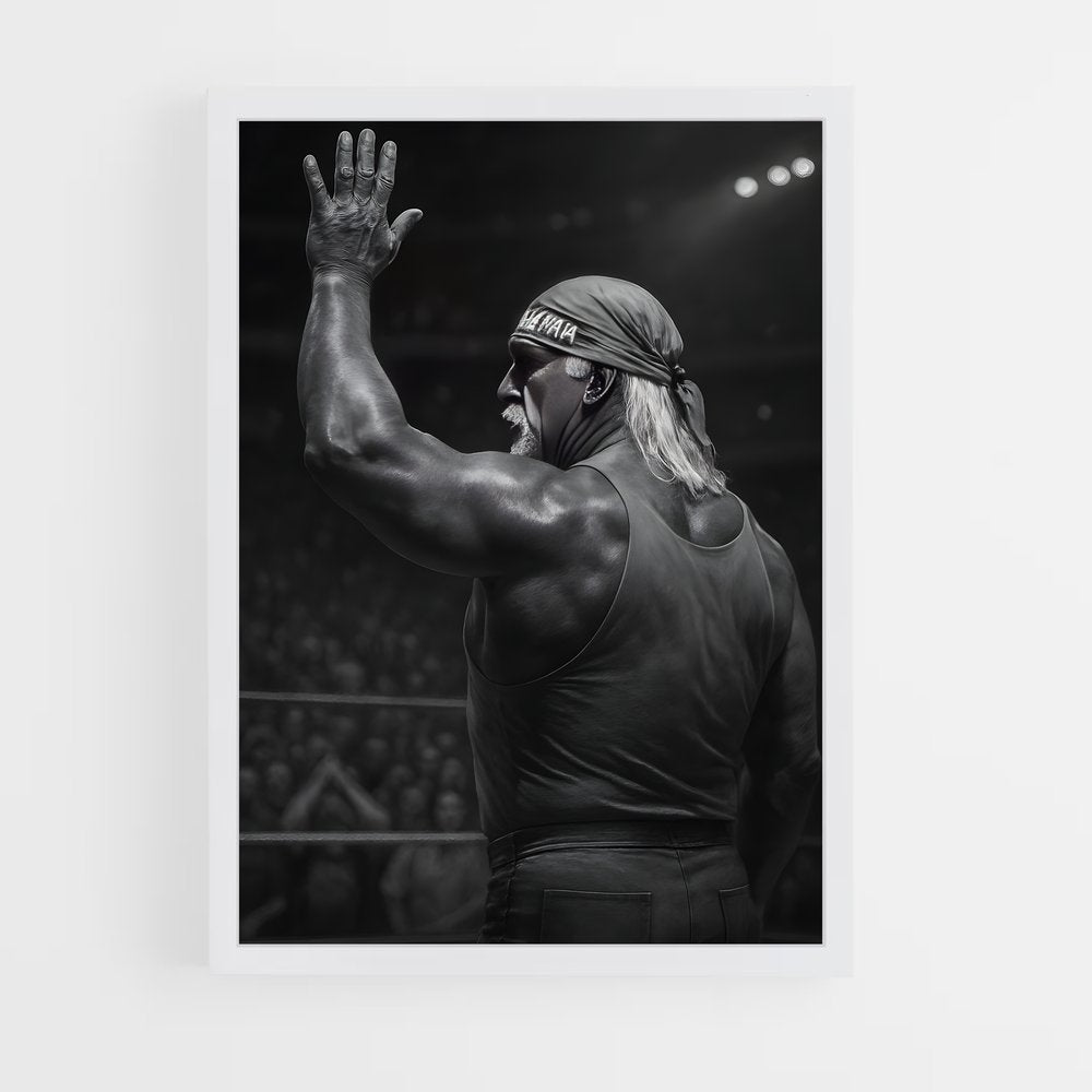 ap-hulk hogan-3 cadre Blanc