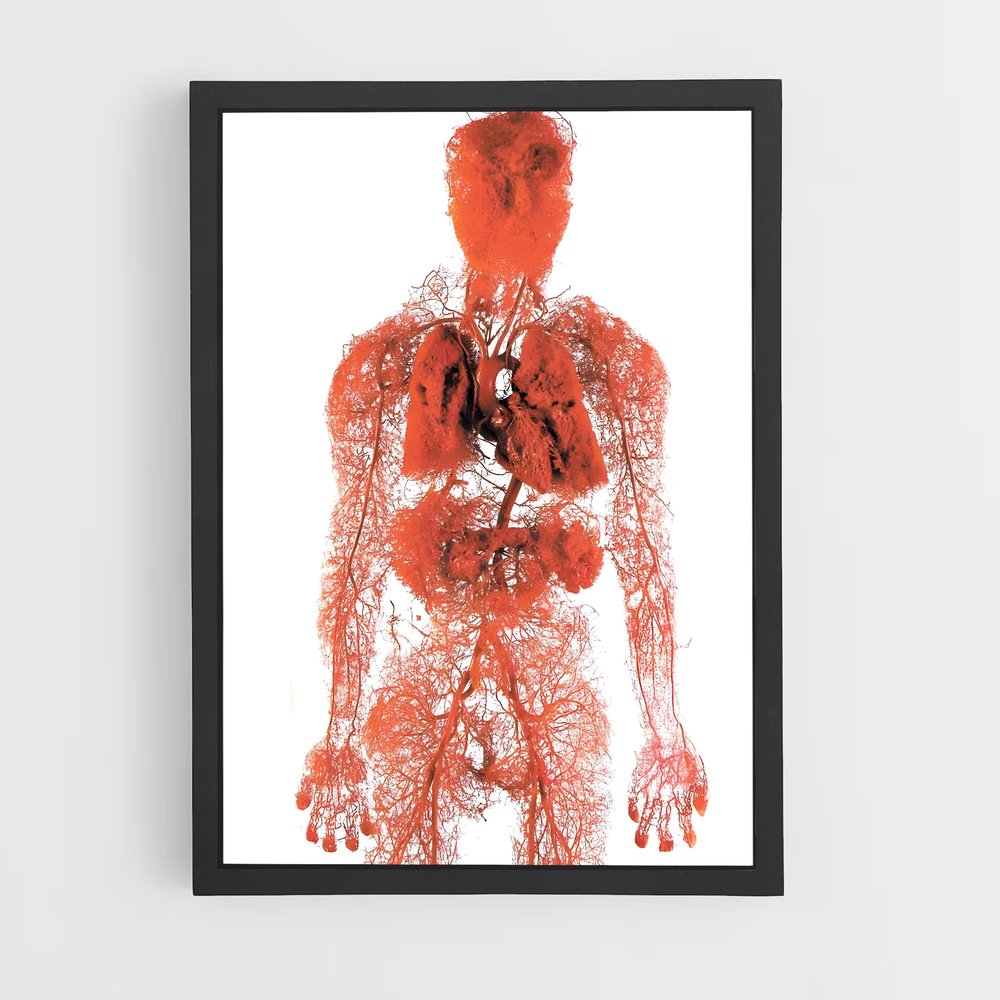 ap-human anatomy-3 cadre Noir