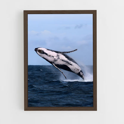 ap-humpback whale-7 cadre Bois foncé