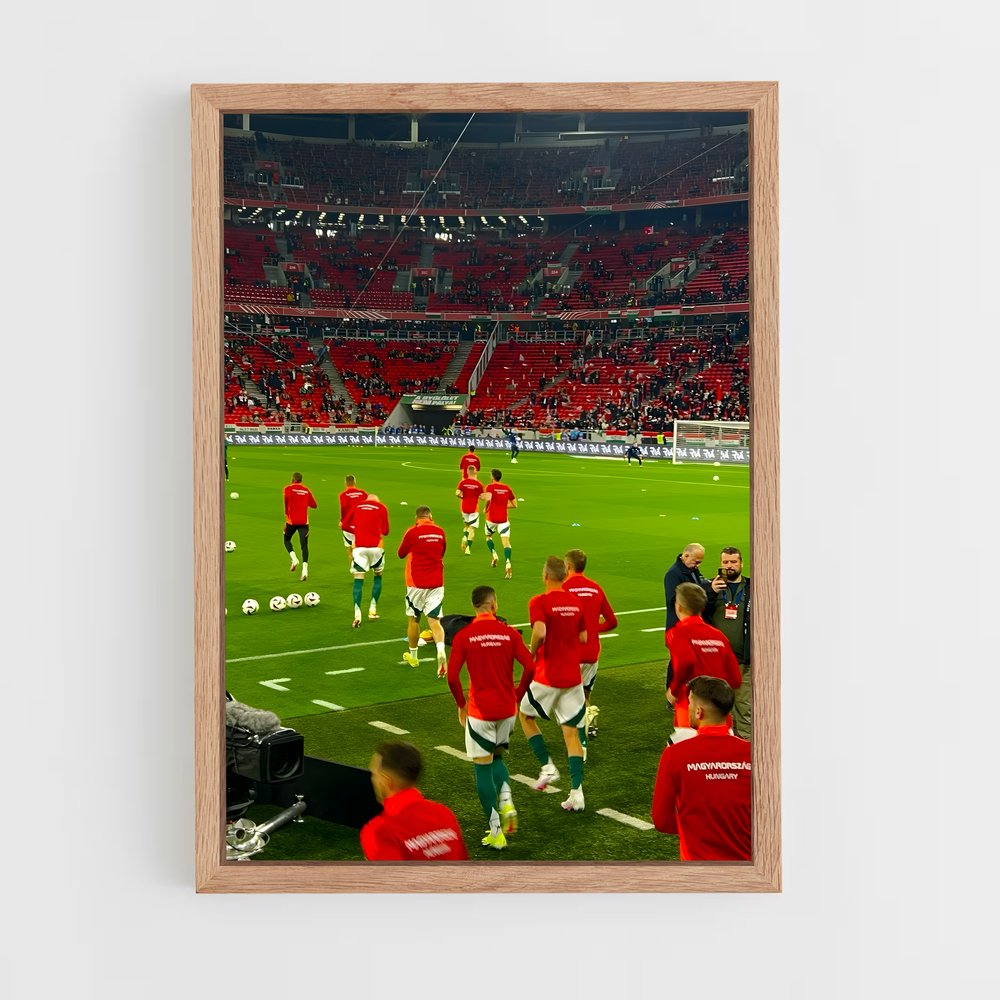 ap-hungary national football team-2 cadre Bois clair