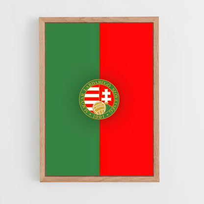 ap-hungary national football team-4 cadre Bois clair