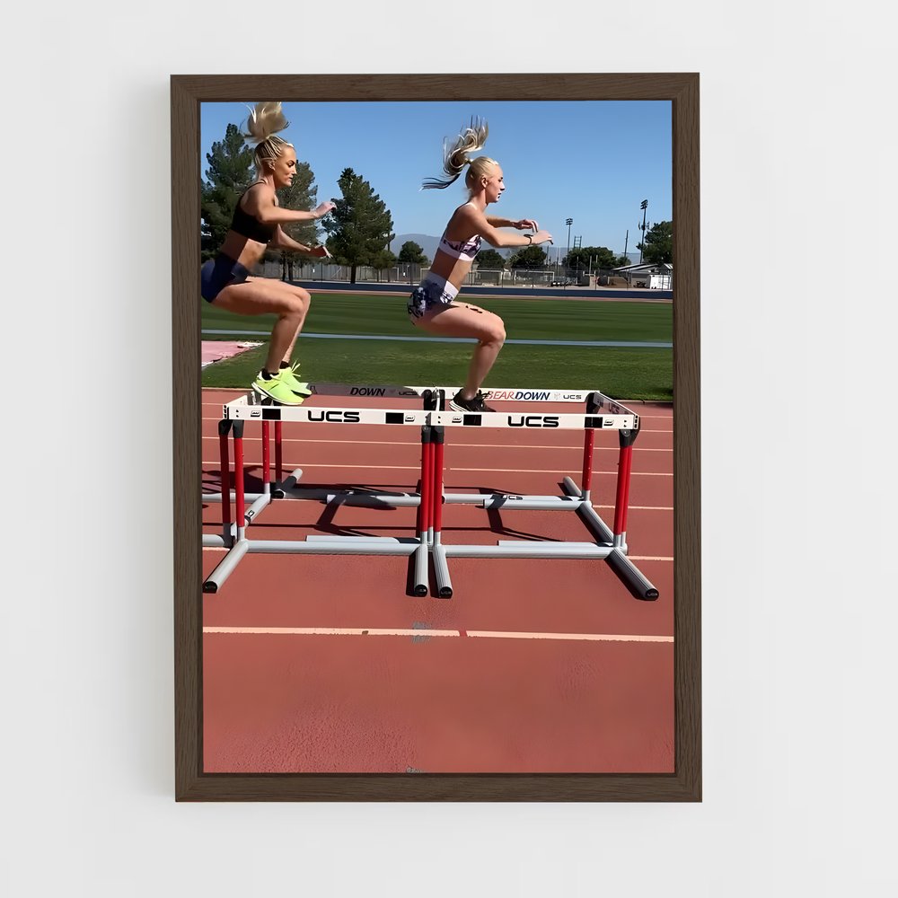 ap-hurdles-5 cadre Bois foncé