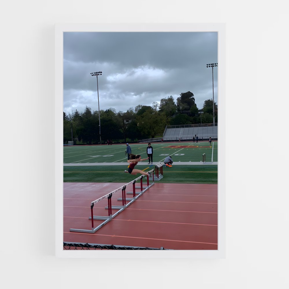 ap-hurdles-6 cadre Blanc