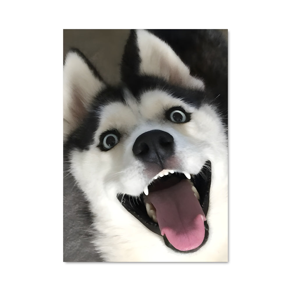 Poster Husky Joyeux