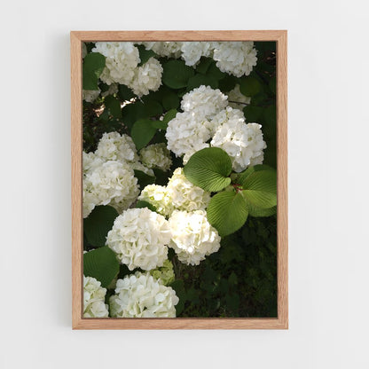 ap-hydrangea-13 cadre Bois clair