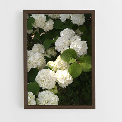 ap-hydrangea-13 cadre Bois foncé