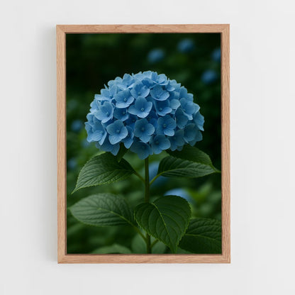 ap-hydrangea-7 cadre Bois clair
