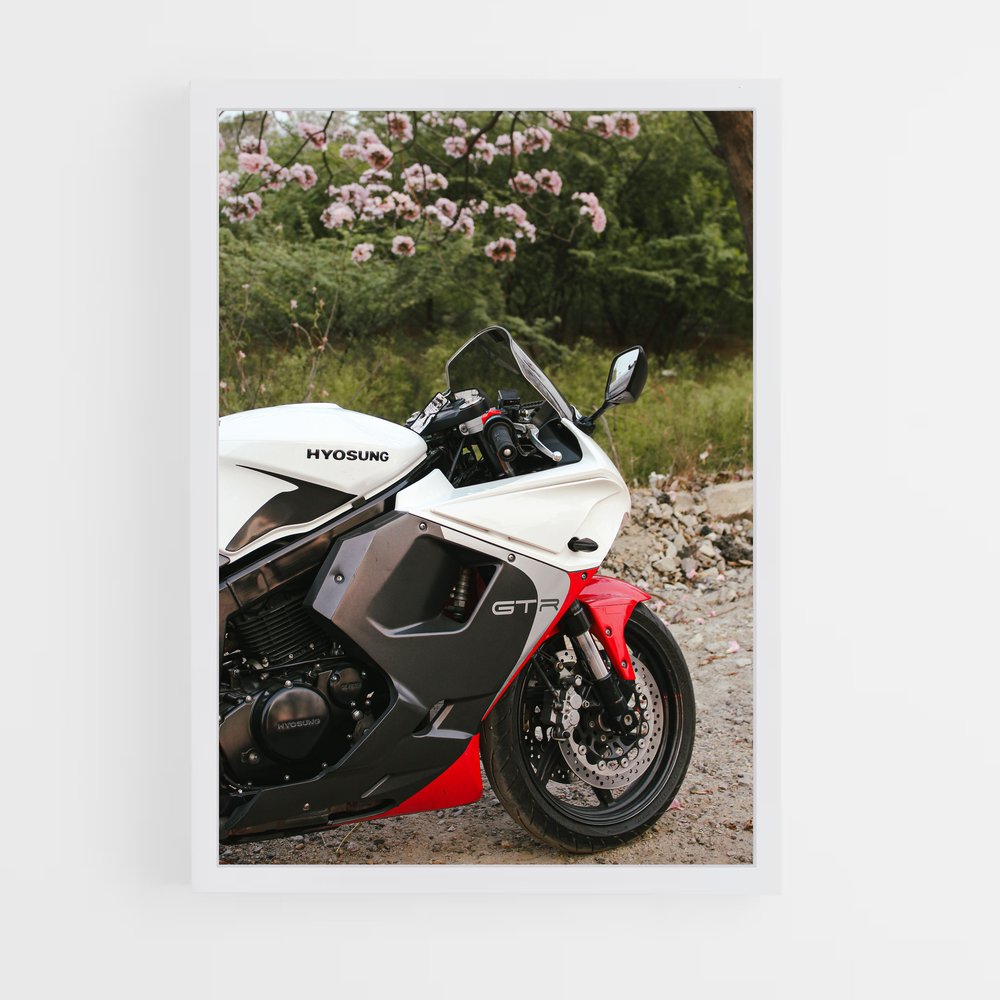 ap-hyosung-2 cadre Blanc
