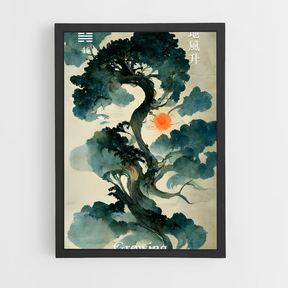 ap-i ching-8 cadre Noir