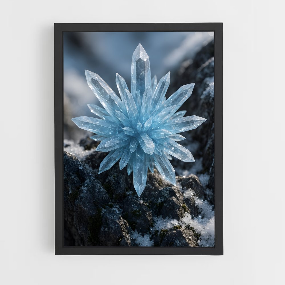 ap-ice crystals-2 cadre Noir