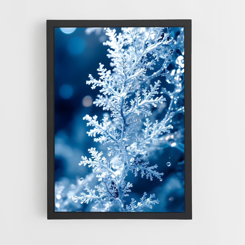 ap-ice crystals-3 cadre Noir