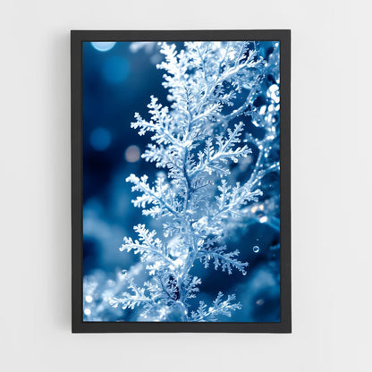 ap-ice crystals-3 cadre Noir