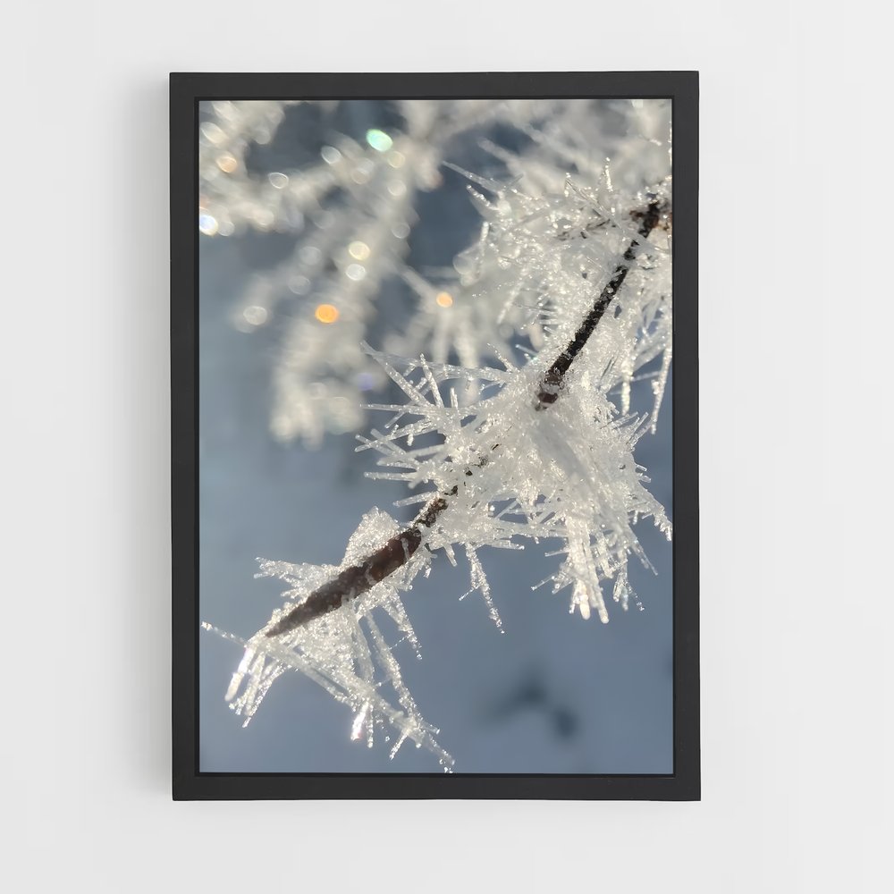 ap-ice crystals-4 cadre Noir