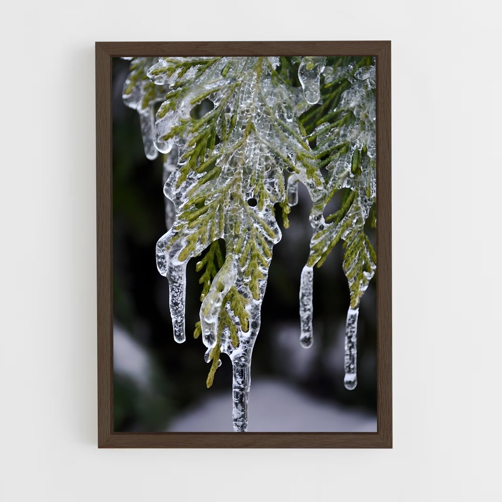ap-icicle-10 cadre Bois foncé