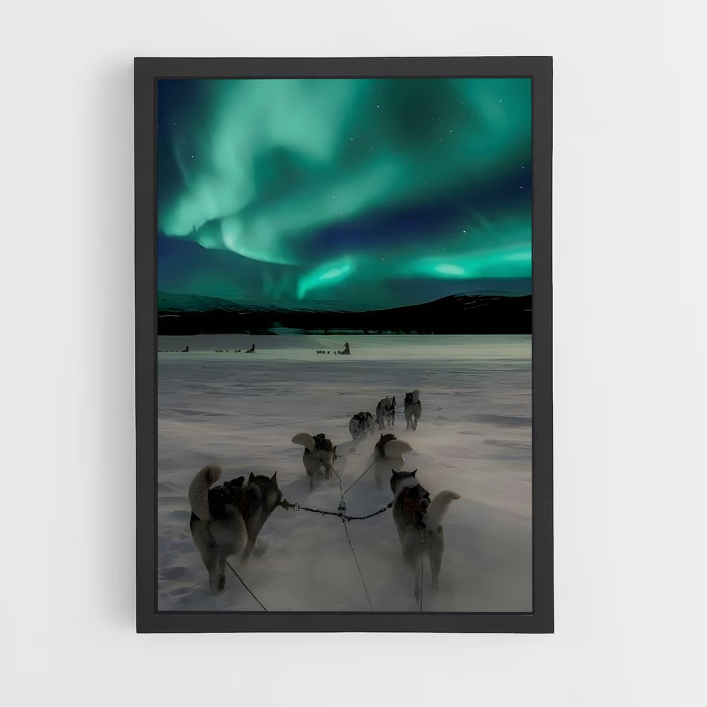 ap-iditarod-1 cadre Noir