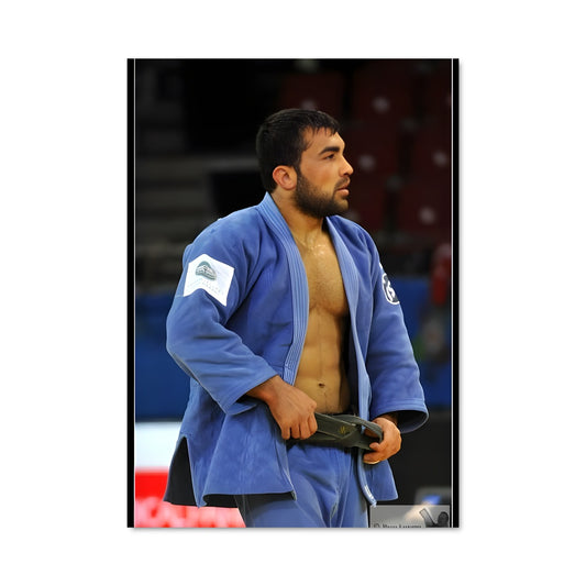 Poster Judo Champion