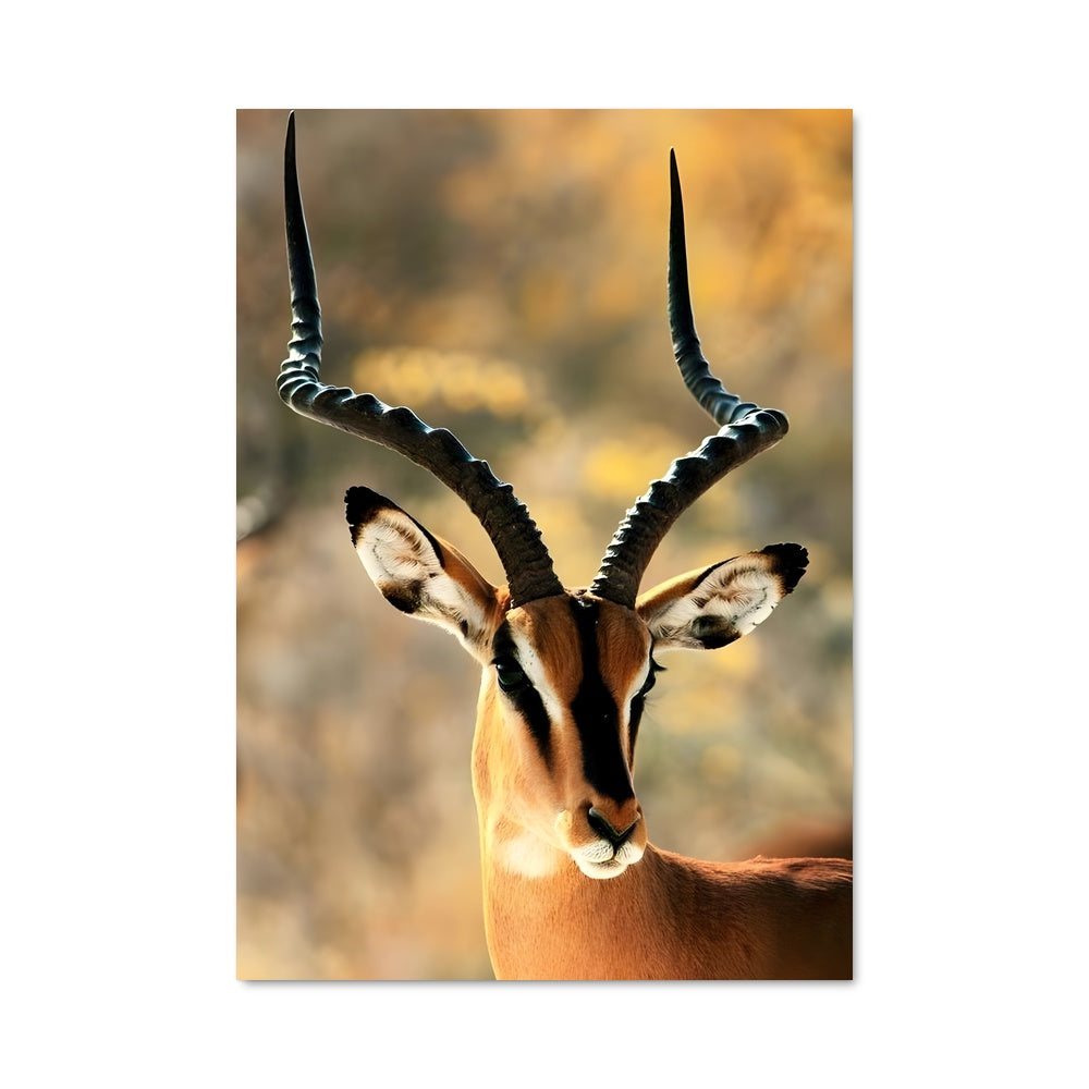 Poster Hornes Élégantes