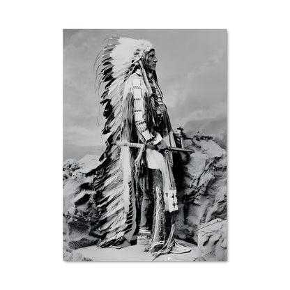 Poster Indian chief 3609