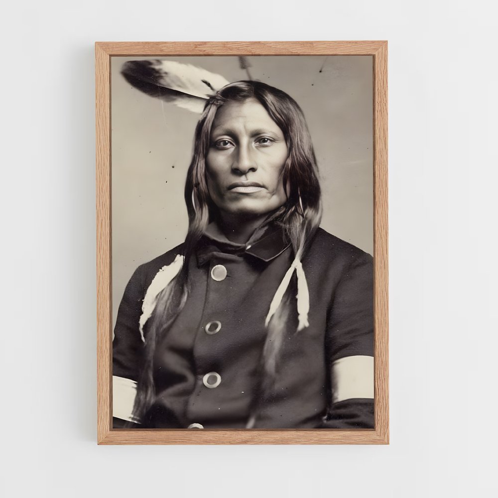 ap-indian chief-10 cadre Bois clair