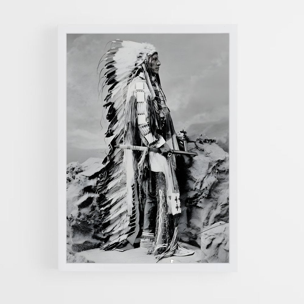 ap-indian chief-9 cadre Blanc