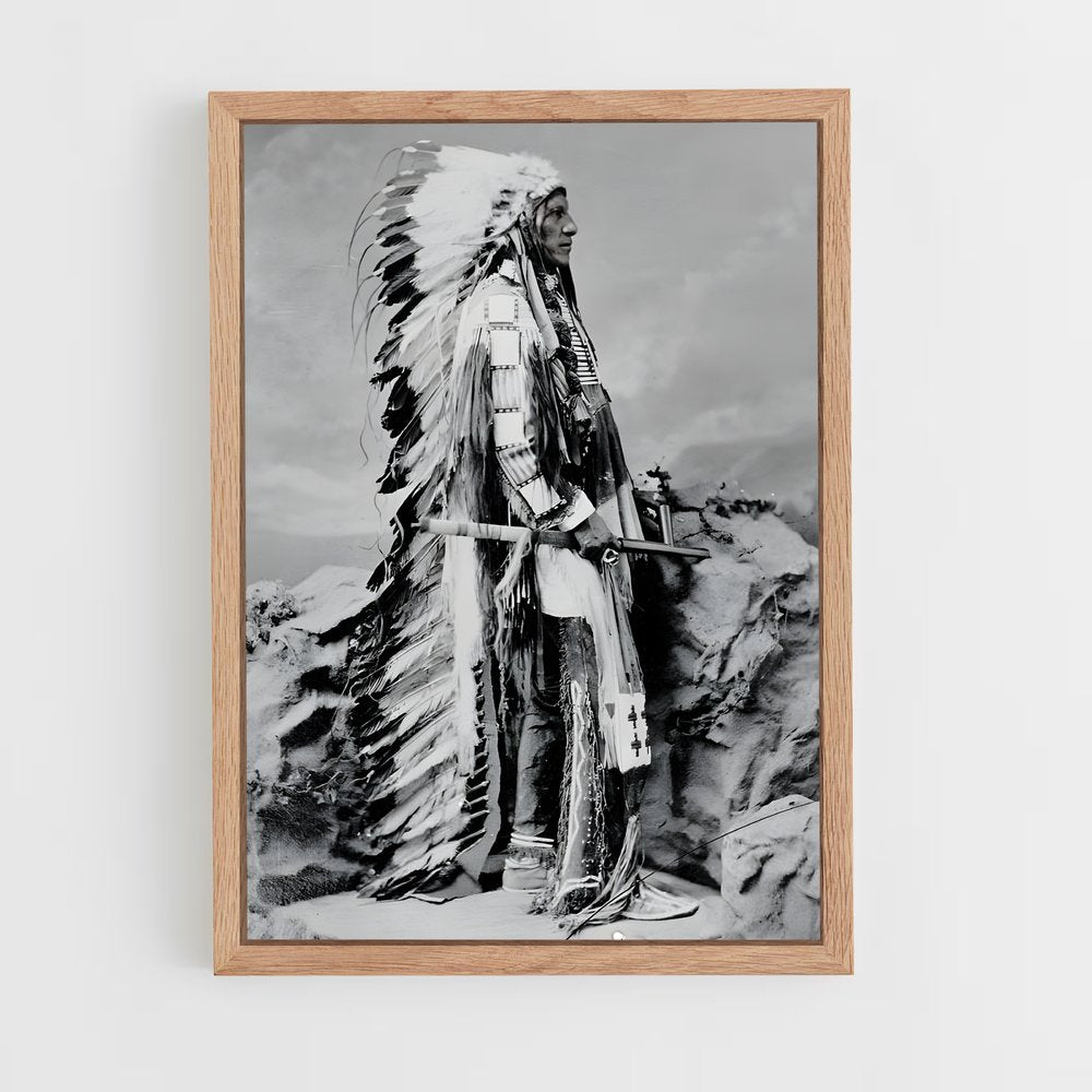 ap-indian chief-9 cadre Bois clair