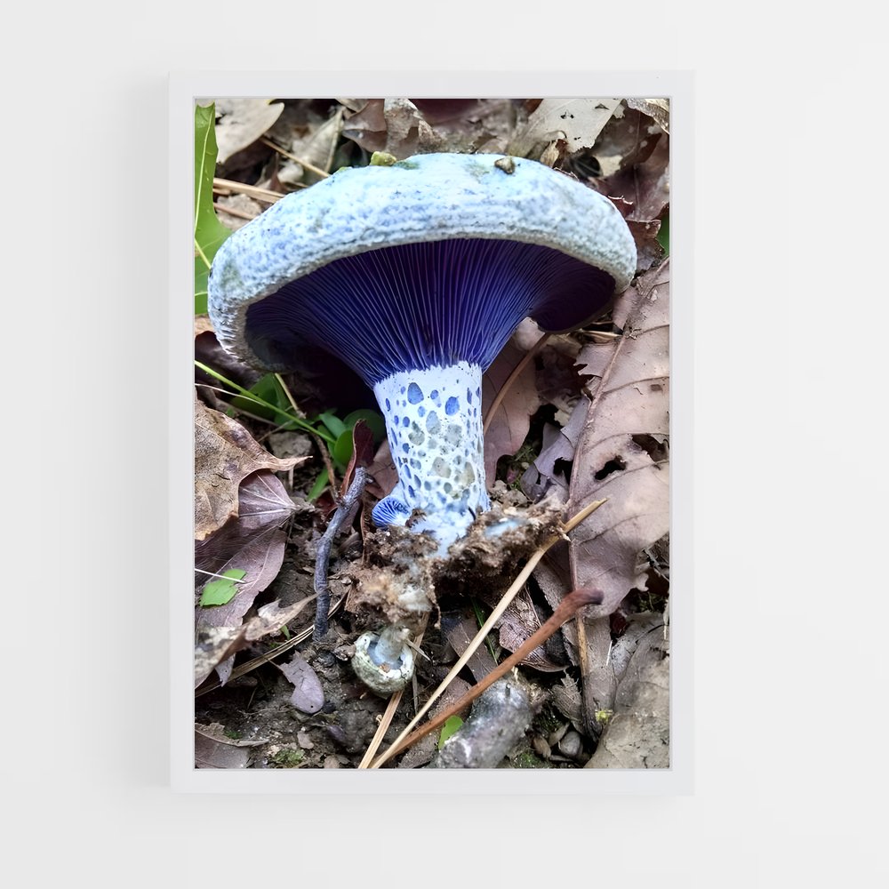ap-indigo milk cap-1 cadre Blanc