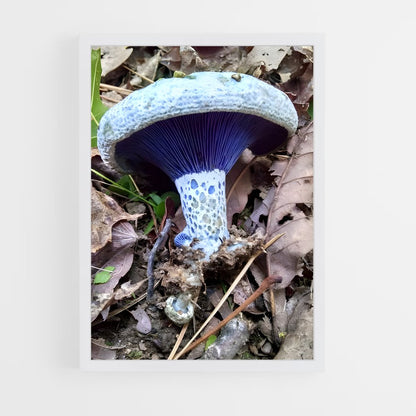 ap-indigo milk cap-1 cadre Blanc